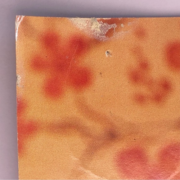 🟢[Absolut Vodka] ABSOLUT TCHOTCHKE Original 1998 Vintage Magazine Advertisement - Picture 10 of 16